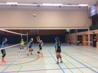 volley (21)